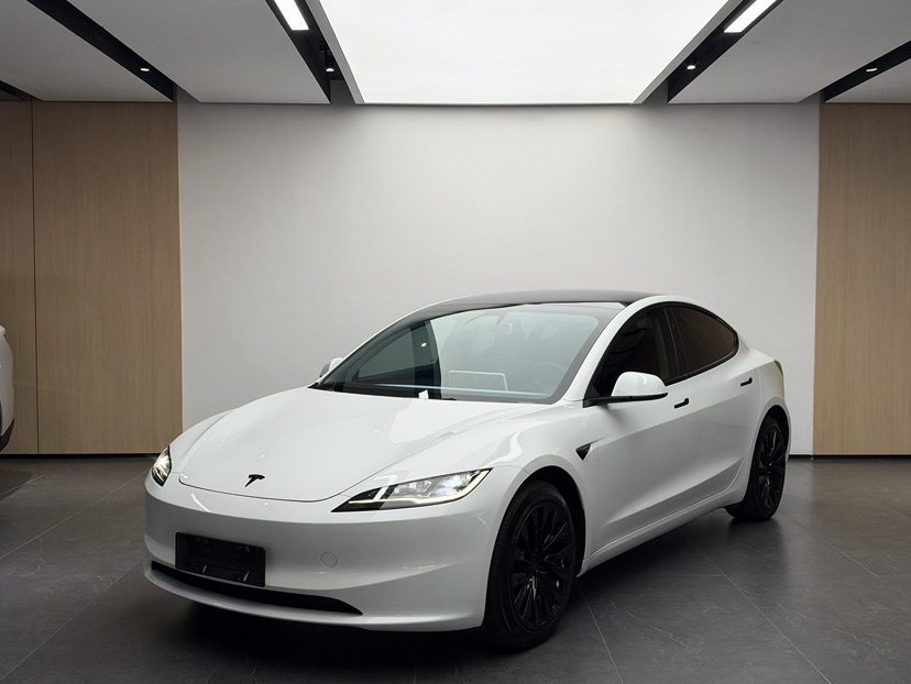 Tesla Model 3 2024 immagine di auto 