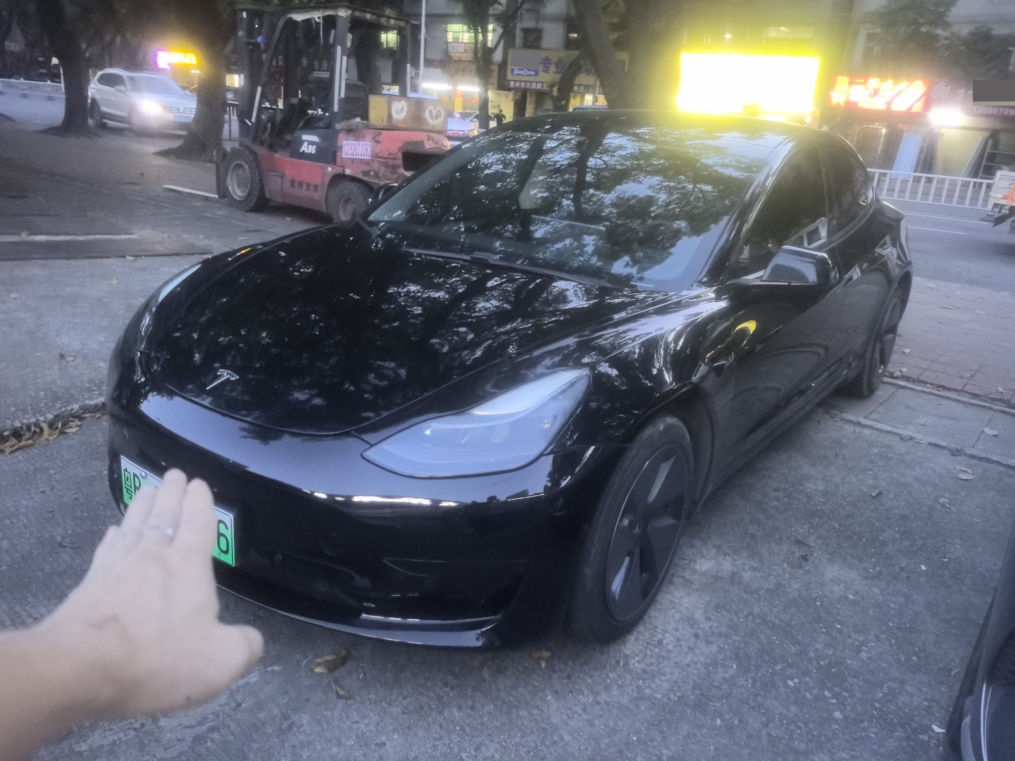 Tesla Model 3 2021 Tesla Model 3 2021 car image