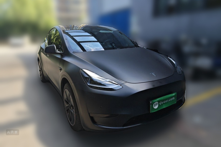 Tesla Model Y 2023 car image #4