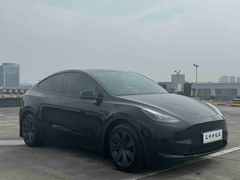 Tesla Model Y 2023 car image #2