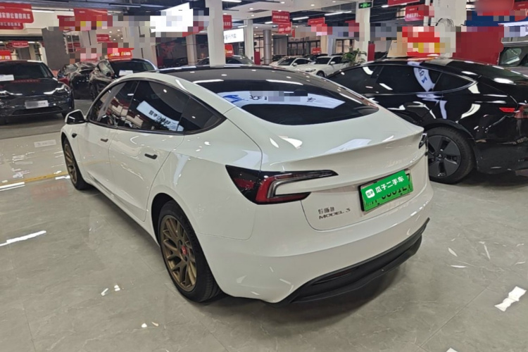 Tesla Model 3 2024 immagine di auto #5