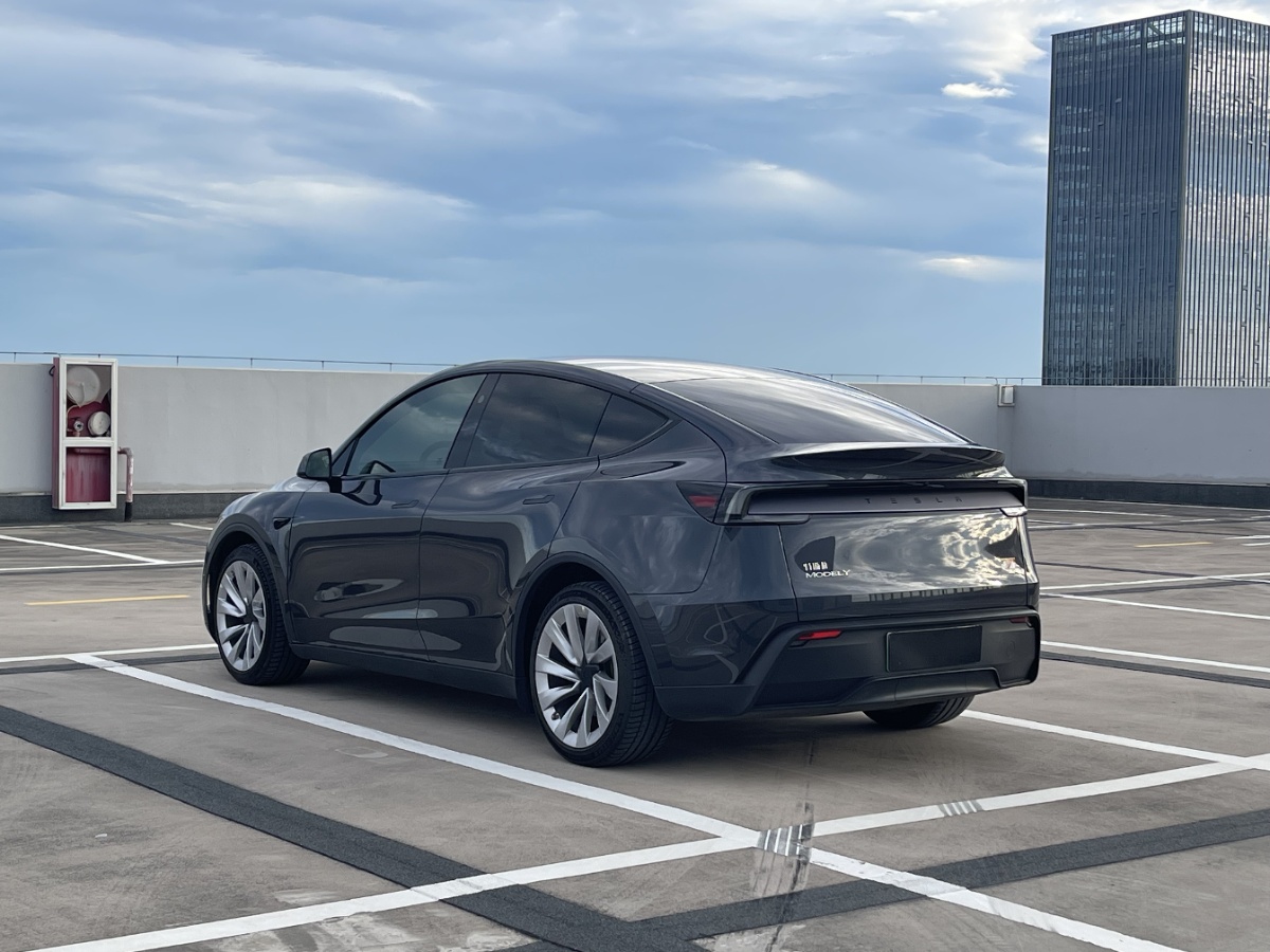 Tesla Model Y 2025 #6 Tesla Model Y 2025 car image #6