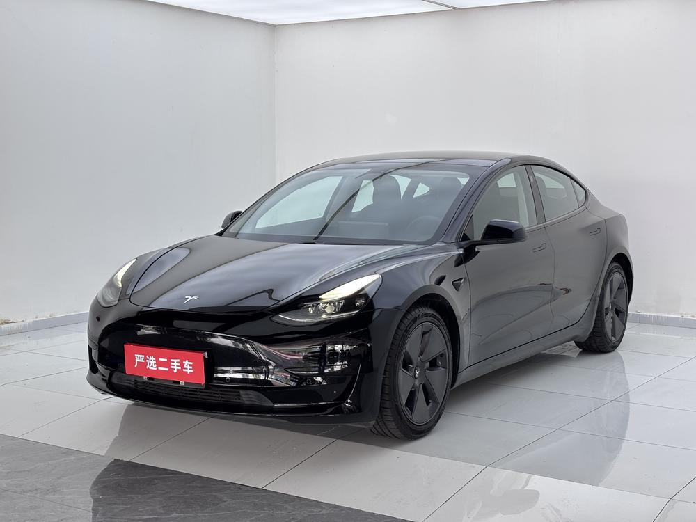 Tesla Model 3 2021 Tesla Model 3 2021 car image