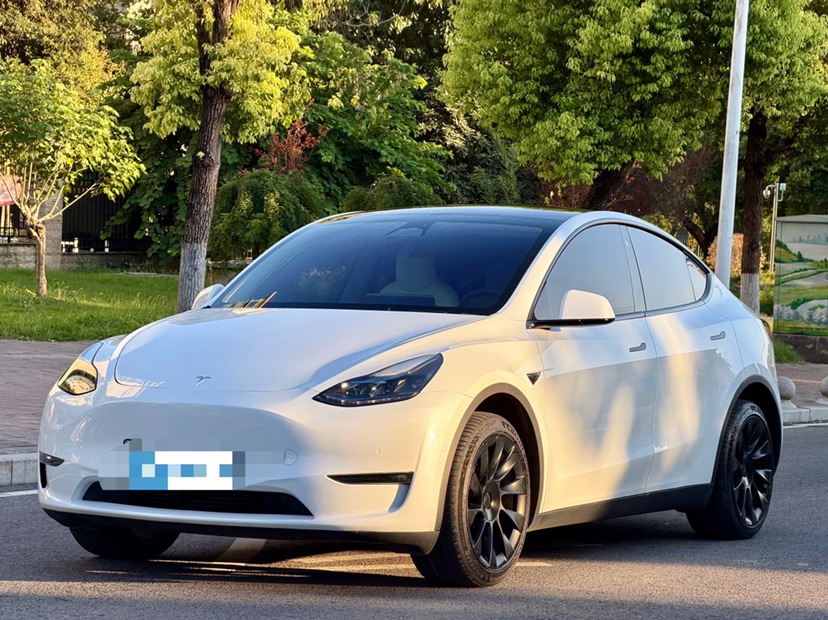 Tesla Model Y 2024 Tesla Model Y 2024 car image