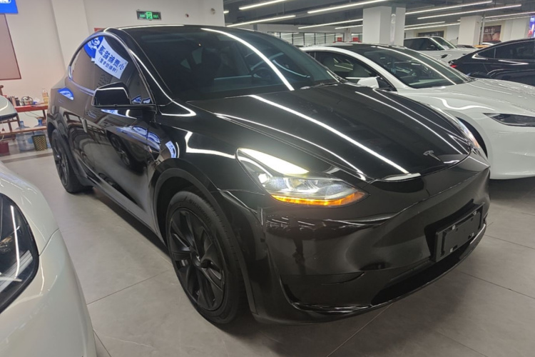 Tesla Model Y 2022 car image #4