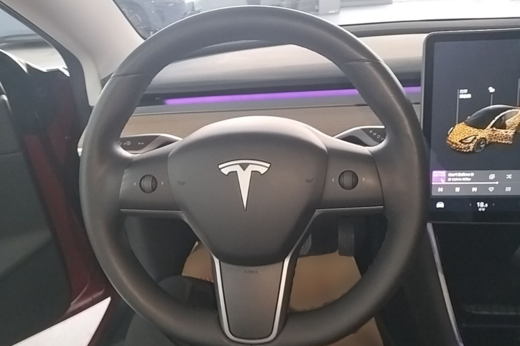 Tesla Model 3 2020 #15 Tesla Model 3 2020 car image #15