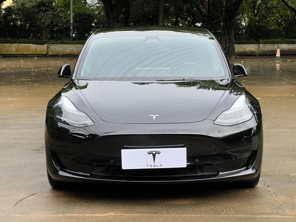 Tesla Model 3 2021 #2 Tesla Model 3 2021 car image #2