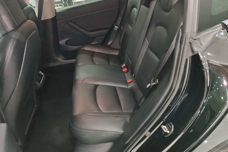 Tesla Model 3 2021 car image #17