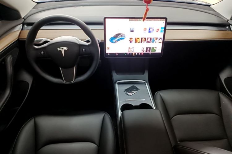 Tesla Model 3 2021 car image #10