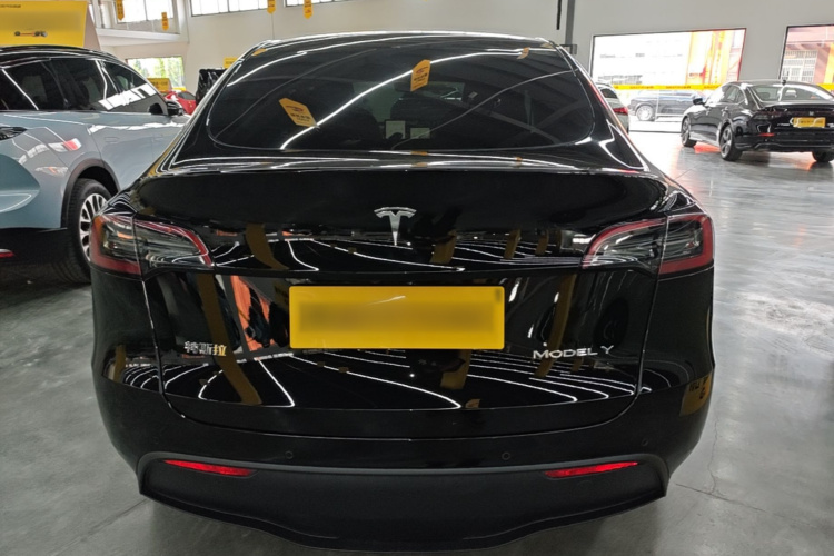 Tesla Model Y 2024 car image #6