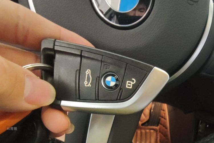 BMW X1 2020 car image #10