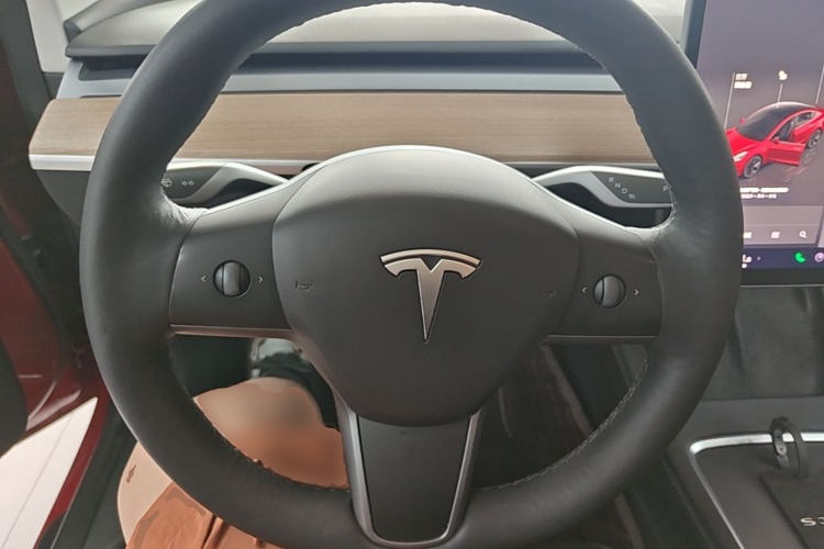 Tesla Model 3 2022 car image #11