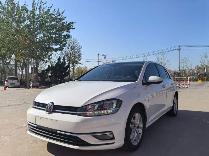 Volkswagen Golf 2019 Volkswagen Golf 2019 car image