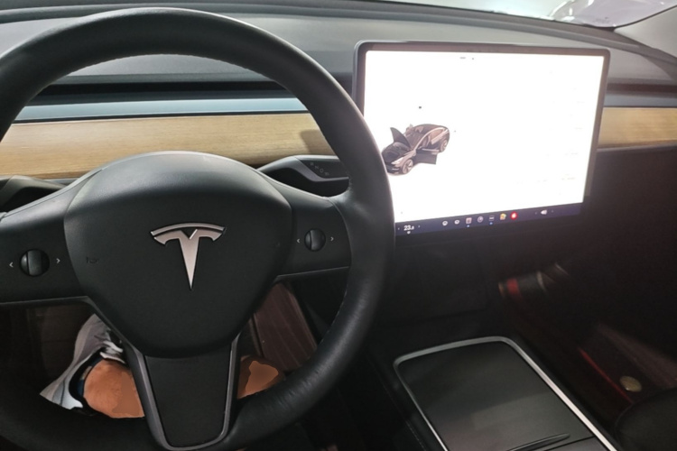Tesla Model 3 2022 #10 Tesla Model 3 2022 car image #10