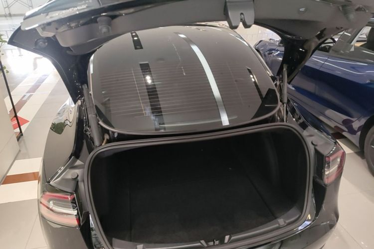 Tesla Model 3 2021 #19 Tesla Model 3 2021 car image #19
