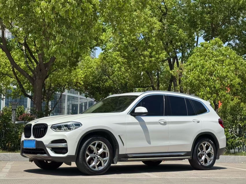 BMW X3 2019 BMW X3 2019 car image