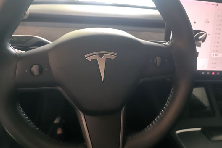 Tesla Model 3 2021 #11 Tesla Model 3 2021 car image #11