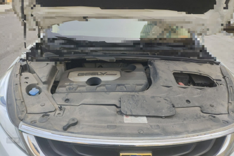 GEELY Emgrand GS 2019 imagen de coche #22