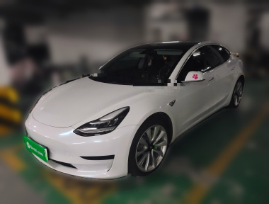 Tesla Model 3 2020 Tesla Model 3 2020 immagine di auto