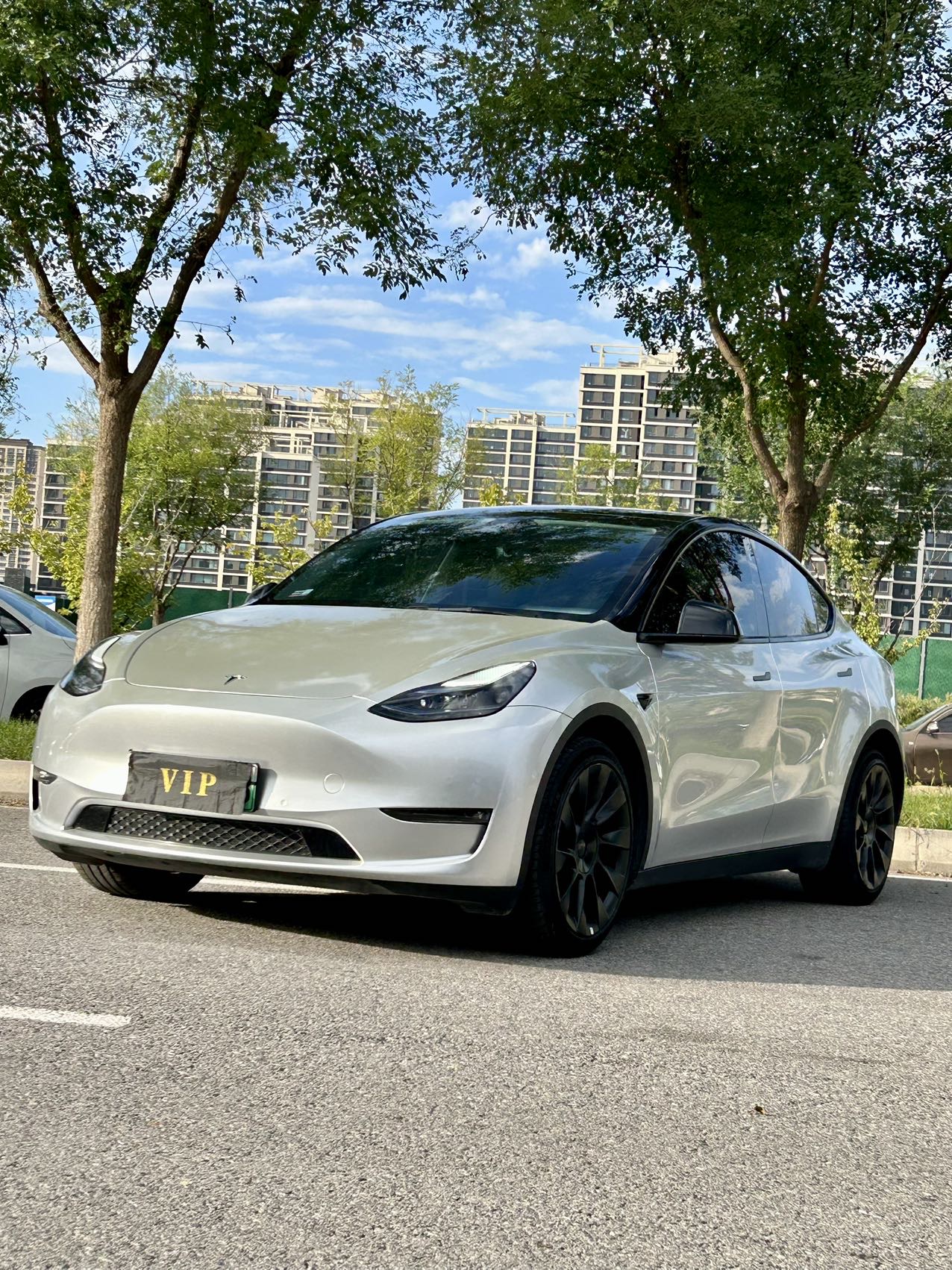Tesla Model Y 2023 immagine di auto 