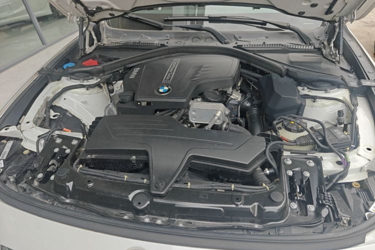 BMW 3 Series GT 2017 imagem de carro #20