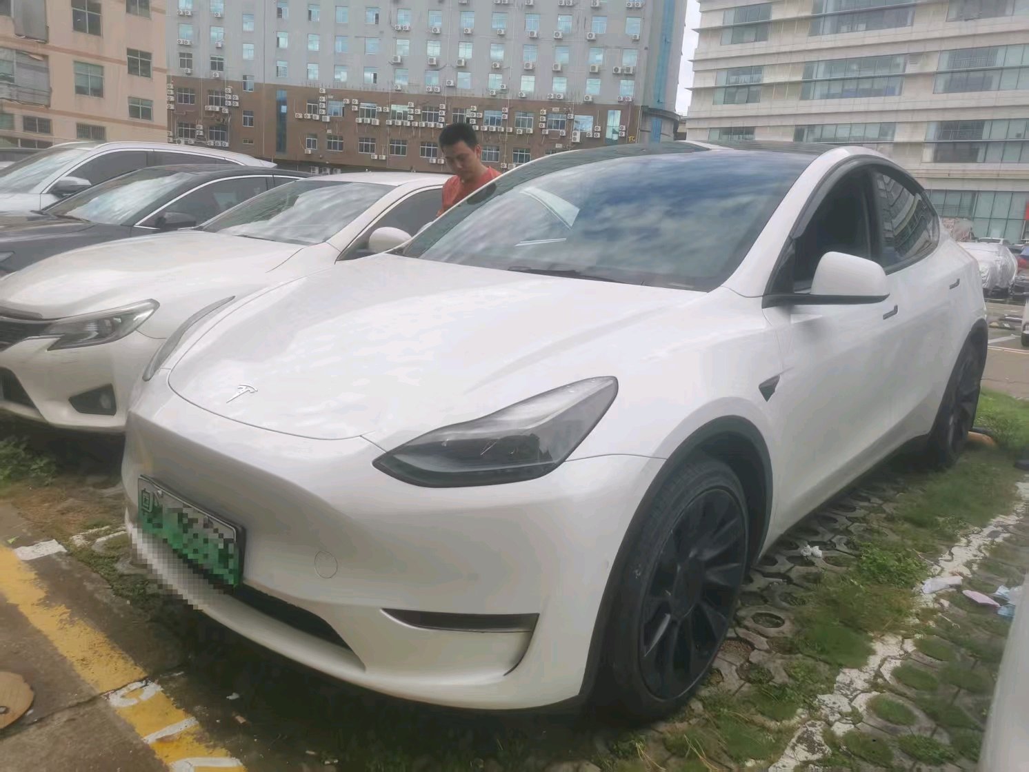 Tesla Model Y 2023 Tesla Model Y 2023 car image