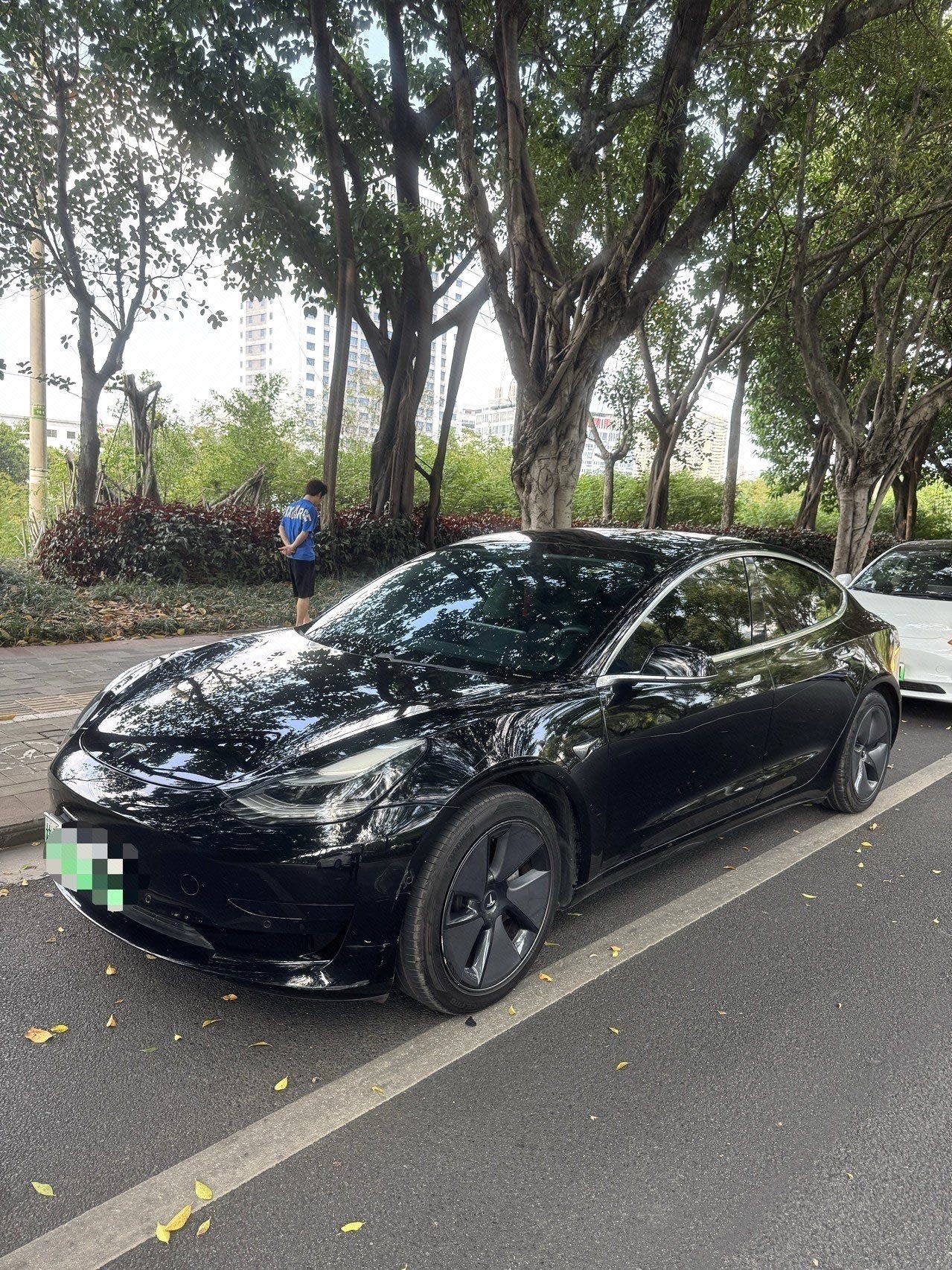 Tesla Model 3 2020 Tesla Model 3 2020 immagine di auto