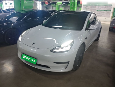 Tesla Model 3 2021 Tesla Model 3 2021 car image