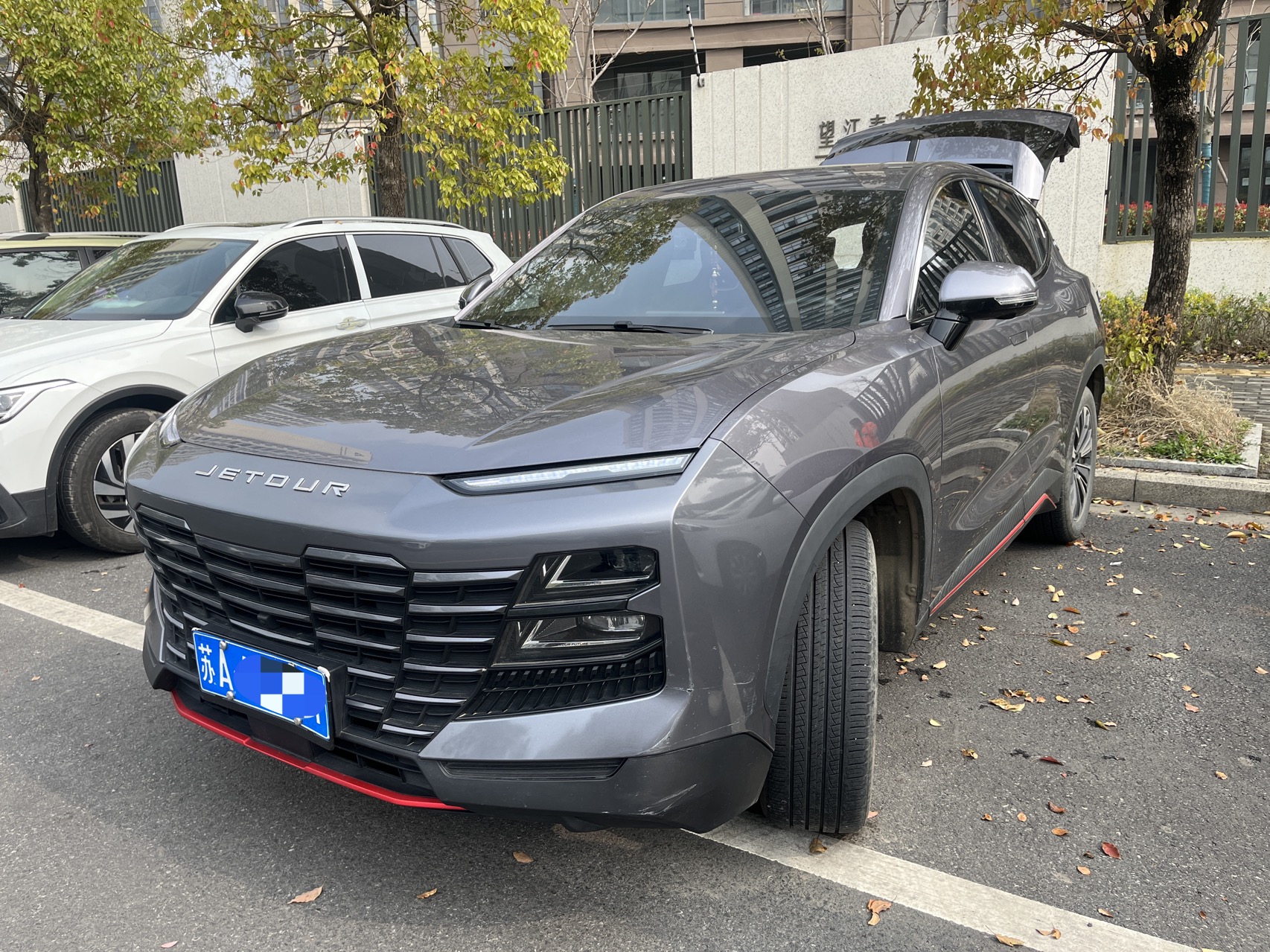 Jetour Dashing 2024 car image 