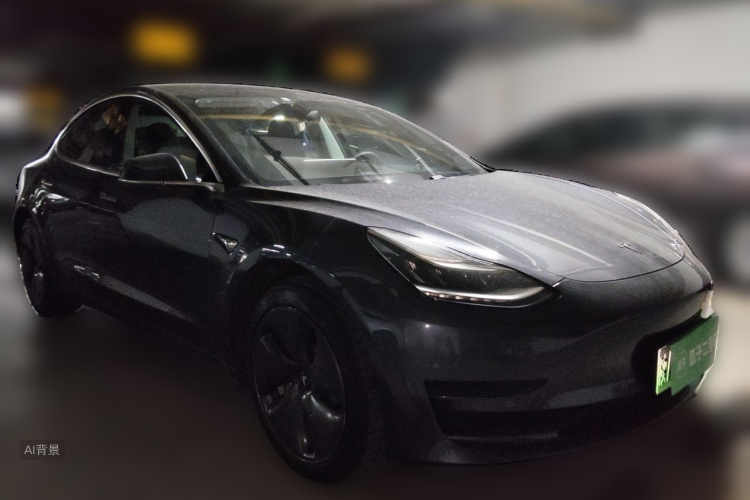 Tesla Model 3 2020 car image #4