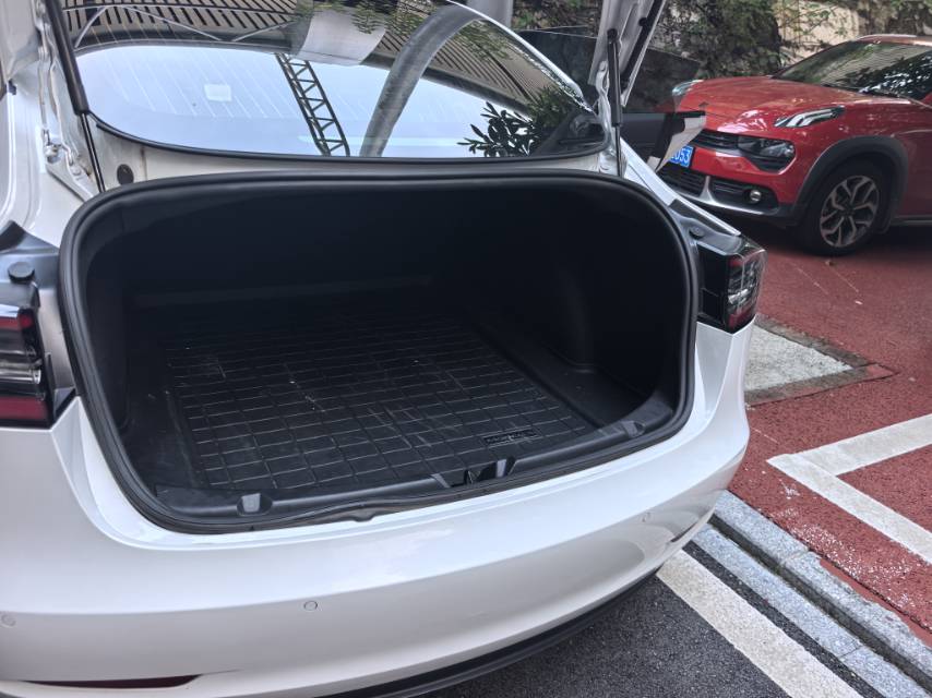 Tesla Model 3 2020 #15 Tesla Model 3 2020 car image #15