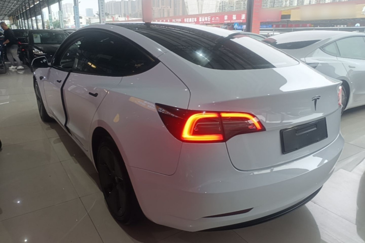 Tesla Model 3 2021 #5 Tesla Model 3 2021 car image #5