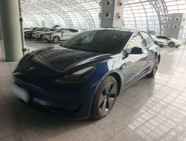 Tesla Model 3 2021 car image 