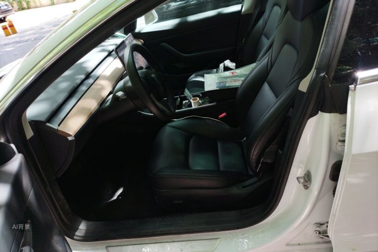 Tesla Model 3 2020 immagine di auto #17