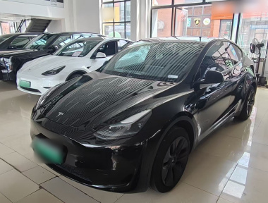 Tesla Model Y 2024 car image 