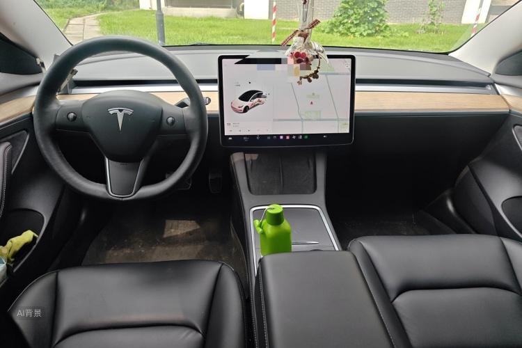 Tesla Model 3 2021 car image #11