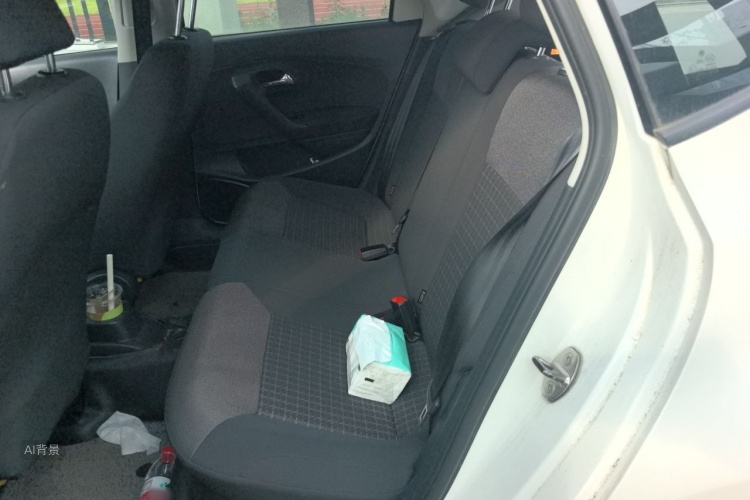 Volkswagen Polo 2016 car image #19