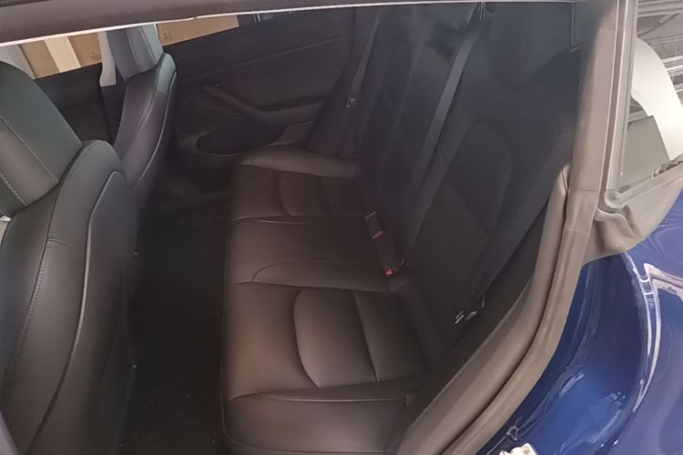Tesla Model 3 2021 #17 Tesla Model 3 2021 car image #17