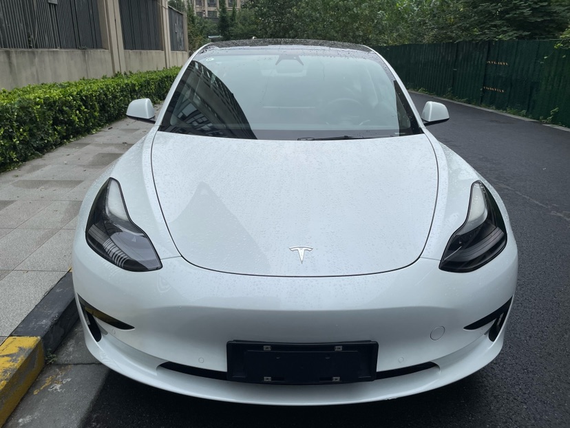 Tesla Model 3 2021 #2 Tesla Model 3 2021 car image #2