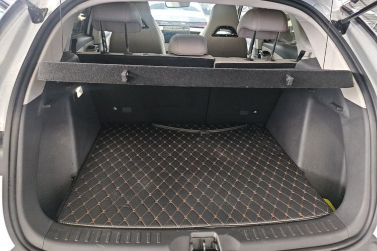 BYD Yuan Plus 2023 imagen de coche #19