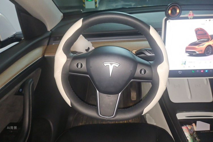 Tesla Model Y 2022 #12 Tesla Model Y 2022 car image #12