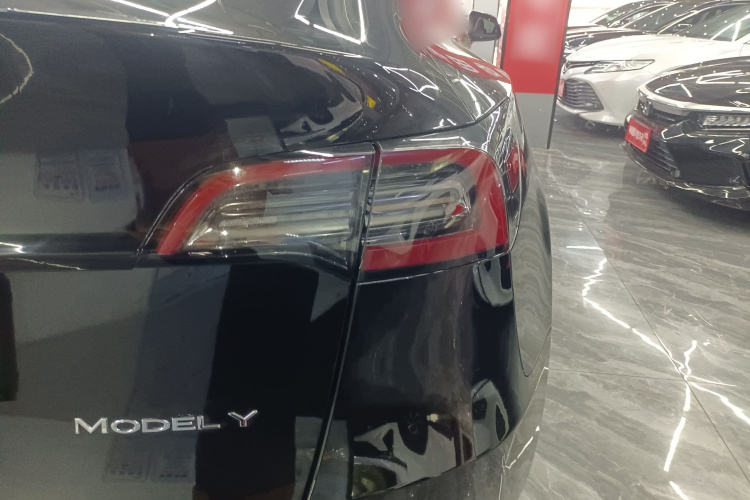 Tesla Model Y 2023 #8 Tesla Model Y 2023 car image #8