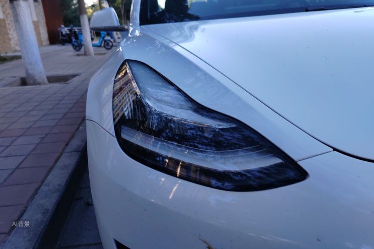 Tesla Model 3 2020 car image #8