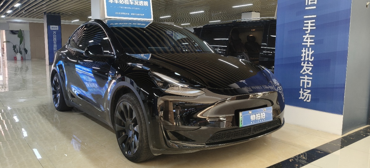 Tesla Model Y 2023 Tesla Model Y 2023 car image