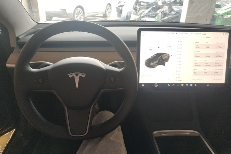 Tesla Model 3 2021 #10 Tesla Model 3 2021 car image #10