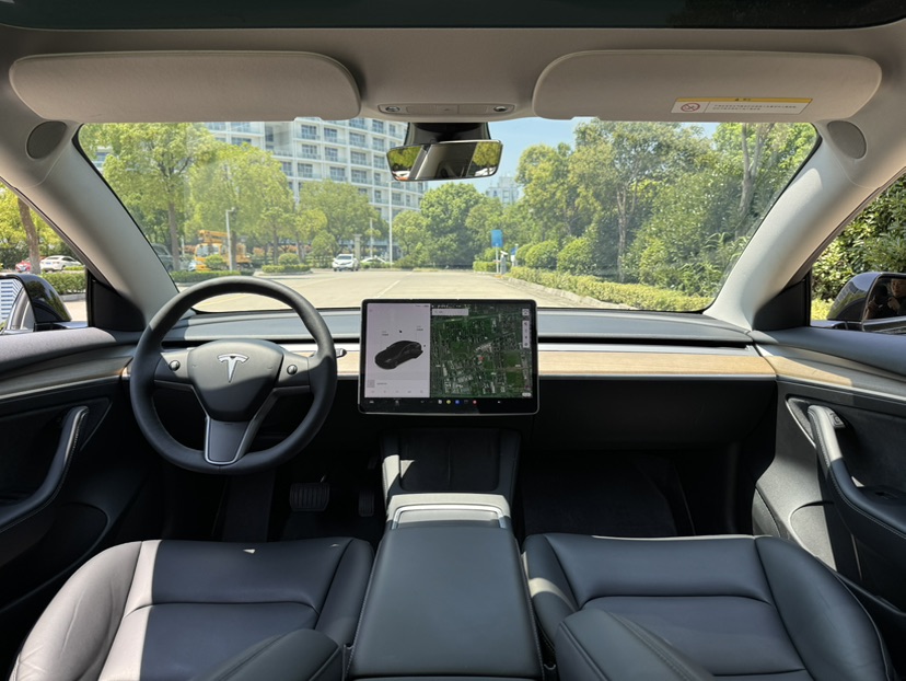 Tesla Model 3 2021 #7 Tesla Model 3 2021 car image #7