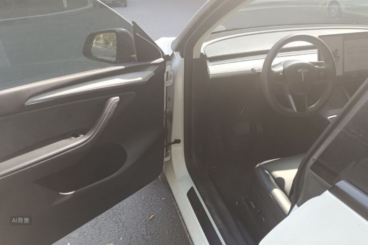Tesla Model Y 2024 car image #18