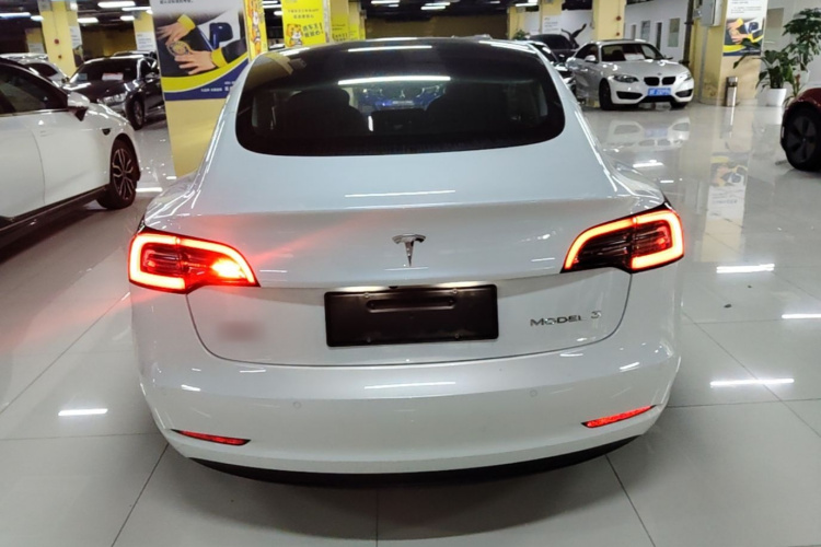 Tesla Model 3 2020 #6 Tesla Model 3 2020 صورة سيارة #6