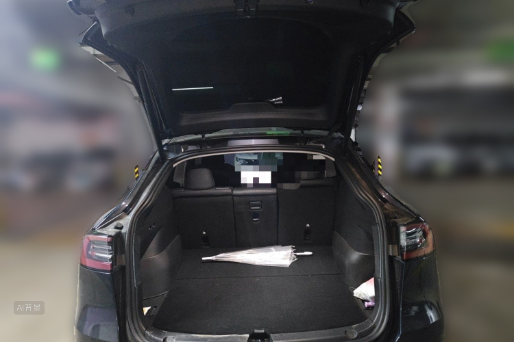 Tesla Model Y 2024 car image #21