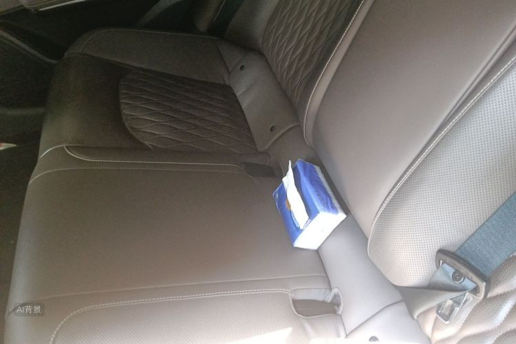 BYD Han 2021 car image #19